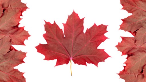 Universities in Canada_0