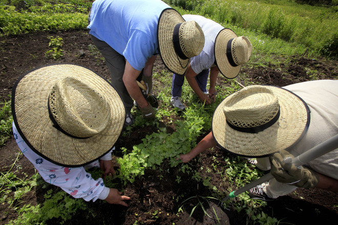 hispanicgarden2 nws kwg 4